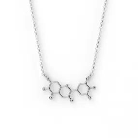 anthocyanin necklace | silver