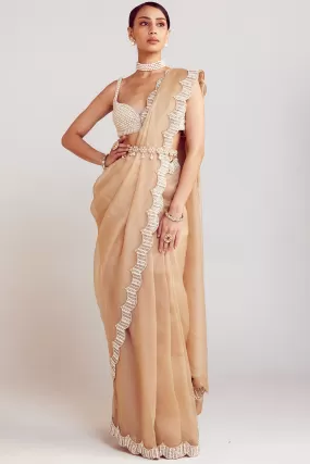 Beige Pearl Embellished Saree