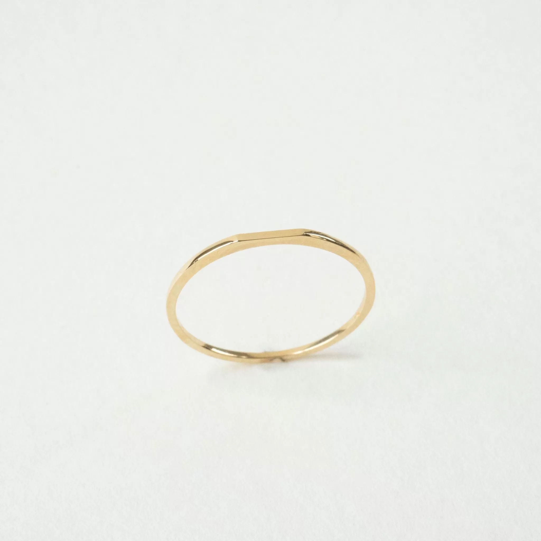 Blake 14K Solid Gold